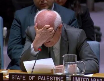 Diplom&aacute;tico palestino rompe a llorar ante Consejo de Seguridad de la ONU