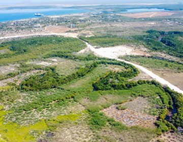 Construcci&oacute;n de muro fronterizo en &aacute;rea protegida no cont&oacute; con estudio