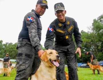 La DNCD incorpora 55 nuevos perros para reforzar la lucha contra el narcotr&aacute;fico