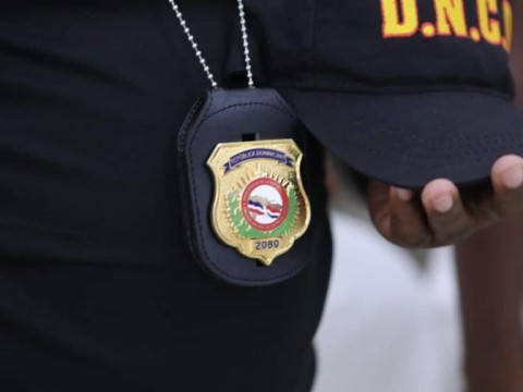 Decomisan 47 matas de presunta marihuana cultivadas en techo de una vivienda en Puerto Plata