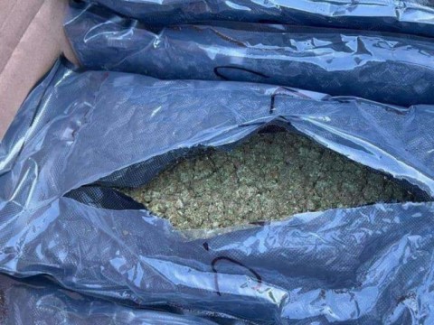 Autoridades ocupan 95 paquetes de marihuana en Puerto R&iacute;o Haina