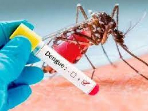 Aumentan casos de Dengue en el pa&iacute;s