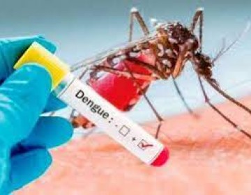 Aumentan casos de Dengue en el pa&iacute;s