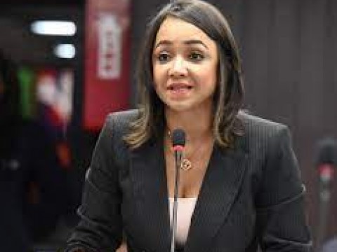 &ldquo;Educar con disciplina, no amerita ejercer violencia&rdquo; manifesto La senadora&nbsp;Faride Raful&nbsp;
