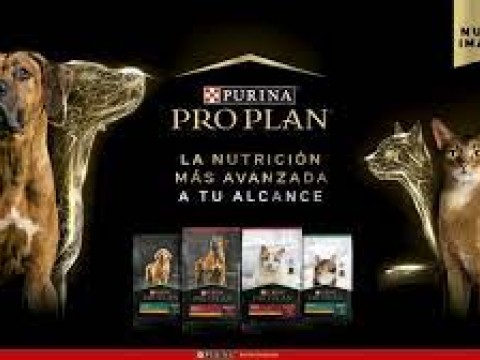 ''PRO PLAN'', la nutrici&oacute;n m&aacute;s avanzada para perros y gatos, se renueva