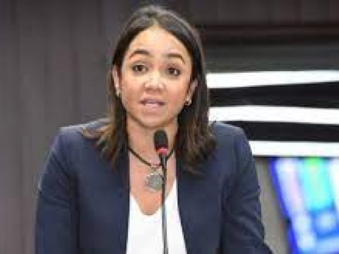 Faride Raful sobre el caso Falc&oacute;n: &ldquo;As&iacute; se construye institucionalidad&rdquo;