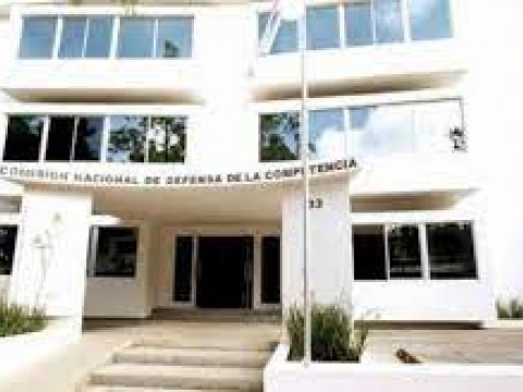 Abinader presenta nombres para sustituir a Yolanda Mart&iacute;nez en Procompetencia