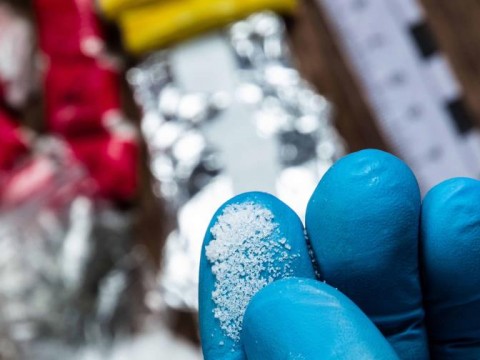 Un domincano entre miembros de red que introdujo 670 kilos de coca&iacute;na a Italia