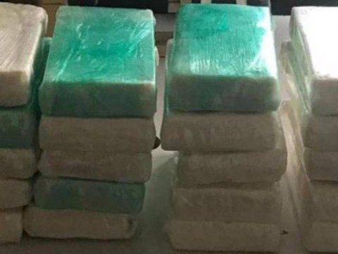 Incautan 61 kilos de coca en contenedor proveniente de Rep&uacute;blica Dominicana