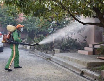La capital y seis provincias concentran el 63 % de los casos de dengue