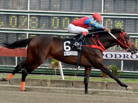 El Hip&oacute;dromo V Centenario celebra Clasico Independencia con RD$6.5 millones en el Poolpote