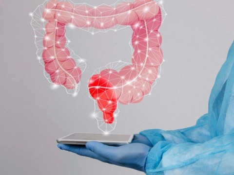El c&aacute;ncer colorrectal se protege de la inmunoterapia con un doble escudo, seg&uacute;n un estudio