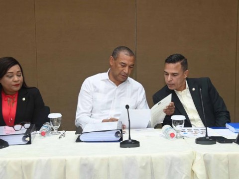 En el Congreso quieren un C&oacute;digo Penal r&aacute;pido, pero lo llevan con calma