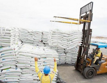 El Gobierno suspende la exportaci&oacute;n de harina