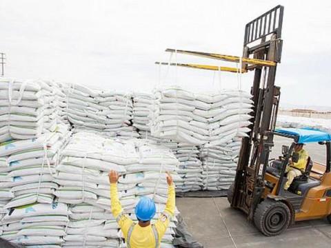 El Gobierno suspende la exportaci&oacute;n de harina