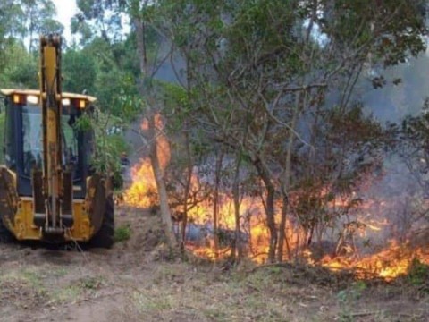 El Seibo ha registrado 52 incendios forestales en primeros meses de 2024