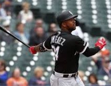 Eloy Jim&eacute;nez y Pete Alonso seleccionados como Novatos del Mes en las Grandes Ligas