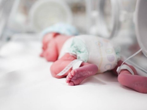 En Rep&uacute;blica Dominicana, la sepsis es la segunda causa de muerte en los prematuros