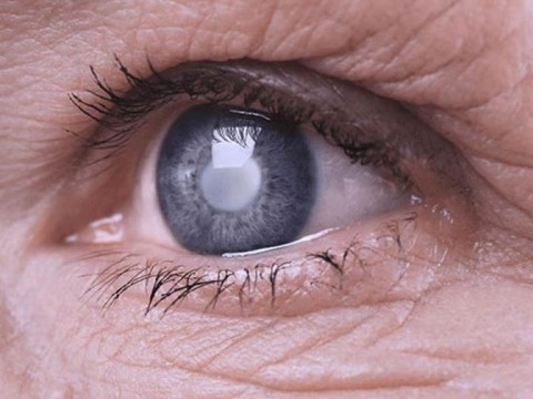 Efem&eacute;ride de hoy: D&iacute;a Mundial del Glaucoma