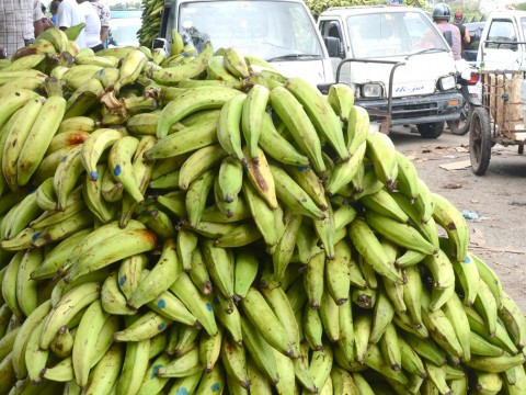 Director de ISA recomiendan consumir otros v&iacute;veres ante alto costo del pl&aacute;tano