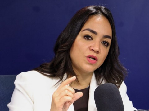 Faride Raful se querella contra &Aacute;ngel Mart&iacute;nez e Ingrid Jorge