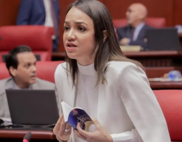 Faride Raful renuncia a vocer&iacute;a del PRM en el Senado