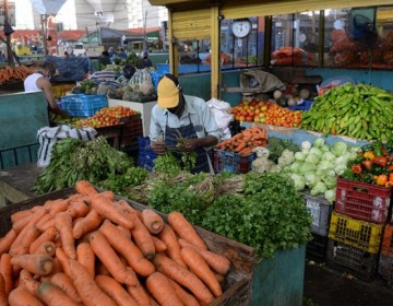 Latinoam&eacute;rica y el papa piden cambios globales en los sistemas alimentarios