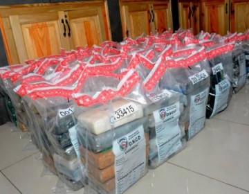 DNCD decomisa 353 paquetes de coca&iacute;na en el Puerto Multimodal Caucedo