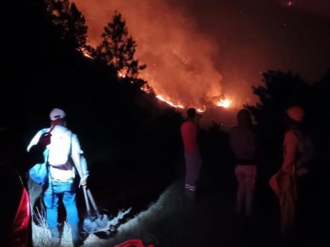 Un fuego afecta a Valle Nuevo; Medio Ambiente dispone su cierre para visitas