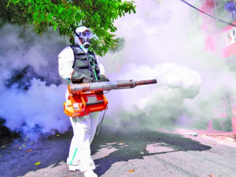 Bajan los casos Covid en el pa&iacute;s pero inquieta el dengue