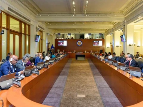 RD defiende su pol&iacute;tica migratoria en la OEA ante denuncia de Hait&iacute; por deportaciones masivas