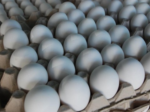 El Gobierno dominicano proh&iacute;be por 15 d&iacute;as la exportaci&oacute;n de huevos hacia Hait&iacute;