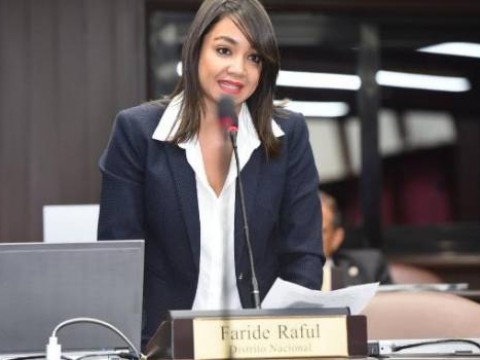 "Aqu&iacute; no hay miedo; busquen los responsables donde tienen que buscarlos". Faride Raful