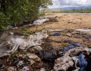 Carreteras del sur: entre costas, vegetaci&oacute;n y basura