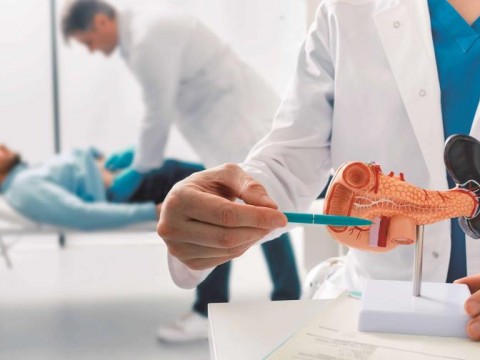 Descubrimiento cient&iacute;fico abre nuevas posibilidades para tratar el c&aacute;ncer de p&aacute;ncreas