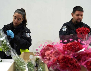 La importaci&oacute;n de flores en Miami sube 6 % para San Valent&iacute;n tras "sobrevivir" a aranceles