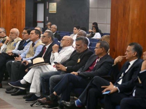 Delegados pol&iacute;ticos: los ojos de los partidos ante la JCE