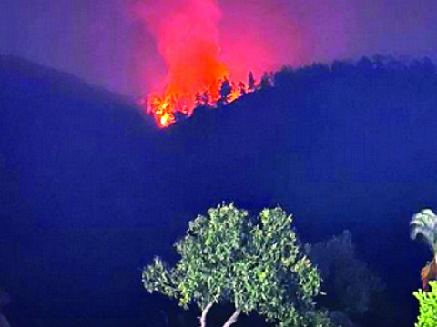 Seis incendios forestales han ocurrido en Jarabacoa