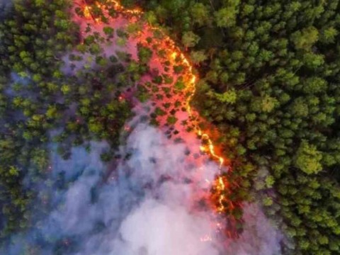 Incendios en regi&oacute;n rusa cerca de Mosc&uacute; abarcan casi 20,000 hect&aacute;reas