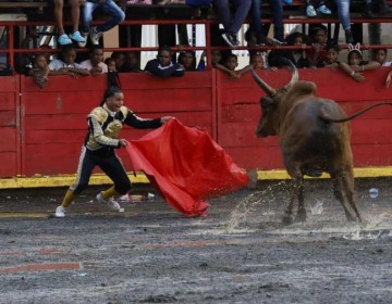 Inician los preparativos para las corridas de toros en El Seibo