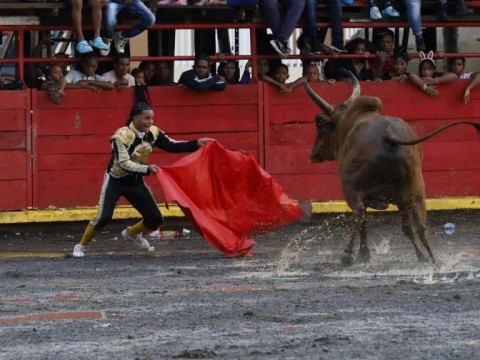 Inician los preparativos para las corridas de toros en El Seibo