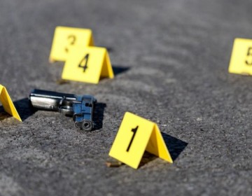 Rep&uacute;blica Dominicana registra 87 abatidos por agentes de la Polic&iacute;a Nacional en 2024