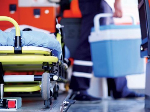 Especialista: &ldquo;No es viable el tr&aacute;fico de &oacute;rganos con ni&ntilde;os&rdquo;