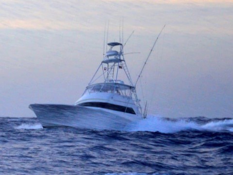 Arranca hoy el Cap Cana Classic de pesca al Marlin Azul