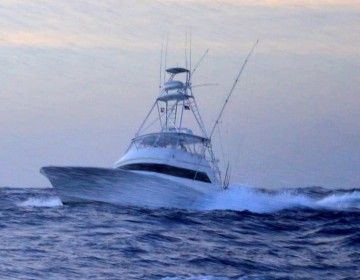 Arranca hoy el Cap Cana Classic de pesca al Marlin Azul