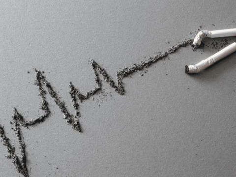 Celebran el D&iacute;a Mundial sin Tabaco llamando a dejar de fumar por conciencia y salud