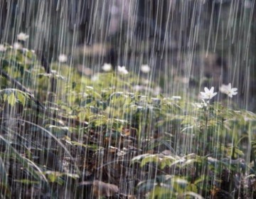 Vaguada continuar&aacute; generando lluvias en gran parte de la Rep&uacute;blica Dominicana