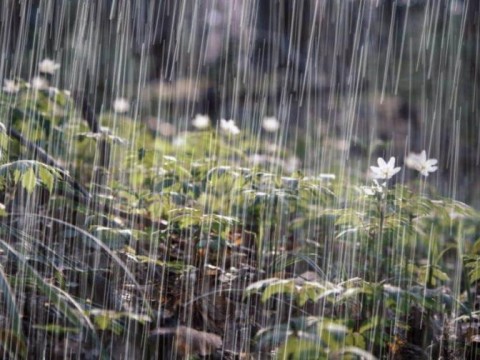 Vaguada continuar&aacute; generando lluvias en gran parte de la Rep&uacute;blica Dominicana