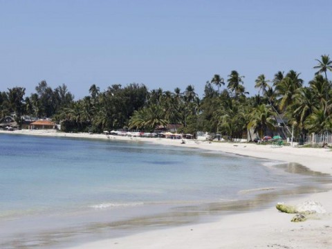 Playa, comida y familia: las cosas que m&aacute;s extra&ntilde;an los dominicanos alrededor del mundo