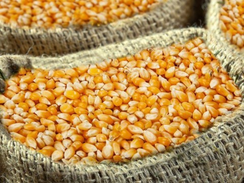 Alzas en materias primas tienen en jaque la econom&iacute;a
